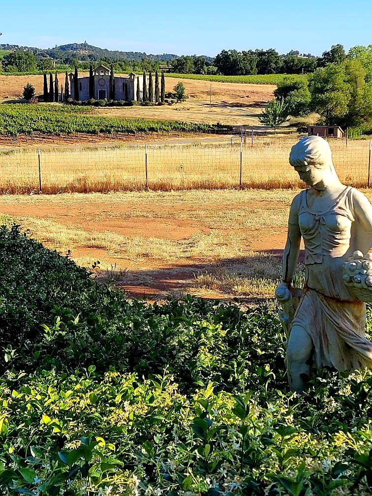 Statue in bushes in front of vineyard